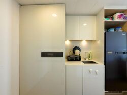 Skysuites@Anson (D2), Apartment #482859461